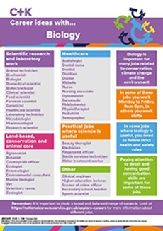 Career Ideas poster set 2025-26